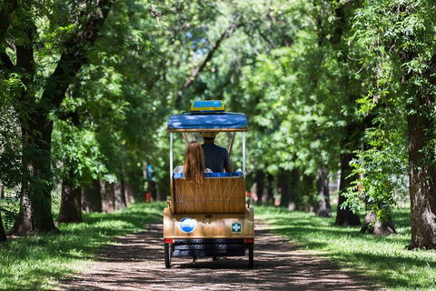 Adelaide 90-Minute Pedicab Tour: Scenic Green & River Experience - Broome Tourism 2