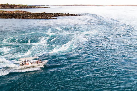Giant Tides Tour - Cygnet Bay Pearl Farm - Broome Tourism 4