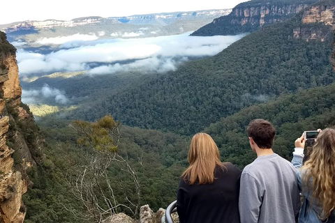 Blue Mountains Private Tour - Wild Kangaroos, Waterfalls And The Three Sisters - Broome Tourism 3