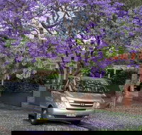 Sydney Secrets  Bondi Beach Private 4 Hr Morning with Personalised Sydney Tours - Broome Tourism