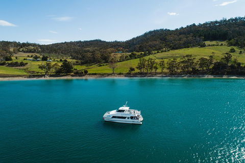 Deep-to-Dish: Tasmanian Seafood Experience - Broome Tourism 0