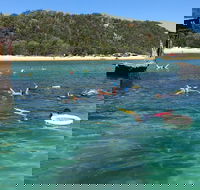 All Inclusive Dolphin and Tangalooma Wrecks Cruise - Broome Tourism