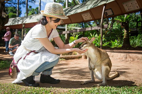 Kuranda Day Tour, TKS-RFS GRAND GOLD PLUS 0930 - Broome Tourism 3