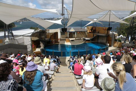 Sydney Taronga Zoo General Entry Ticket - Broome Tourism 5