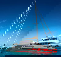 Passions of Paradise Great Barrier Reef Snorkel and Dive Cruise from Cairns by Luxury Catamaran - Broome Tourism