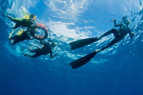 Passions Of Paradise Great Barrier Reef Snorkel And Dive Cruise From Cairns By Luxury Catamaran - Broome Tourism 2