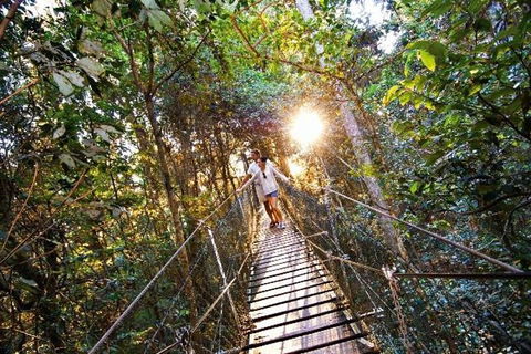 O'Reilly's & Lamington National Park From Brisbane - Broome Tourism 5