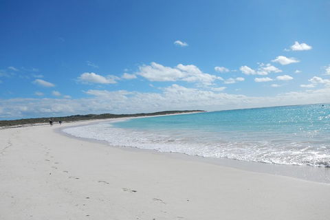 Shipwreck Special Nature Tour/Half Day Tour - Broome Tourism 0