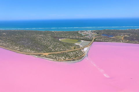 Pink Lake + Abrolhos Islands Nature Tour - Broome Tourism 4