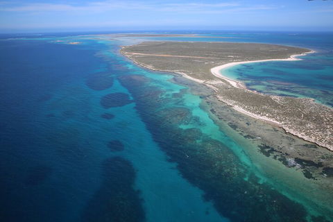 Pink Lake + Abrolhos Islands Scenic Flight - Broome Tourism 0