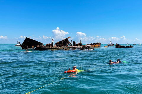 Best Of Moreton Bay Cruise - Broome Tourism 5
