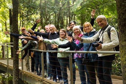 All Inclusive Blue Mountains Small-Group Day Trip From Sydney - Broome Tourism 5