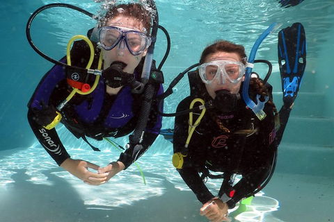 Quicksilver Dive 4 Day PADI Learn To Dive Course - Broome Tourism 2