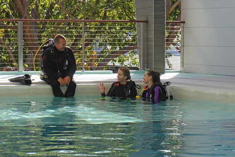Quicksilver Dive 4 Day PADI Learn To Dive Course - Broome Tourism 3