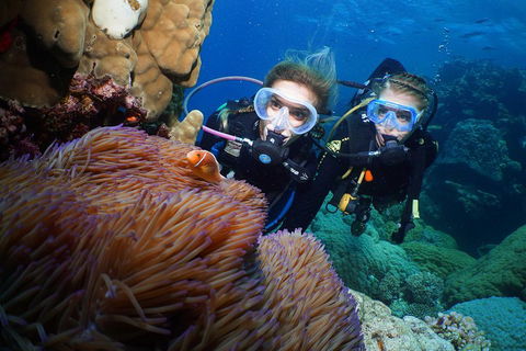 Quicksilver Dive 4 Day PADI Learn To Dive Course - Broome Tourism 4