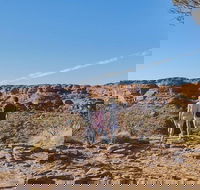 The Amazing Kings Canyon 4-Hours Walking Tour and Hike - Broome Tourism