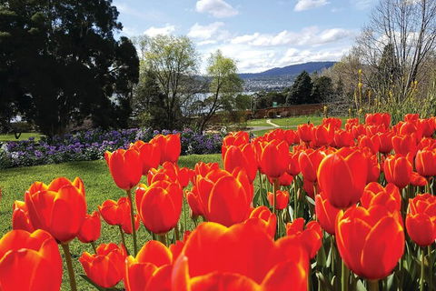 Hobart Half-Day Sightseeing Coach Tram Tour - Broome Tourism 4