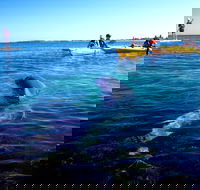 Penguin and Seal Islands Sea Kayaking Experience - Broome Tourism