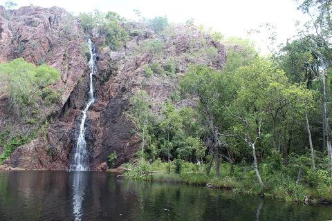 Jumping Crocodile Cruise And Berry Springs Nature Park - Broome Tourism 5