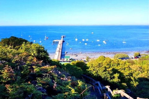 Mornington Peninsula Sightseeing Tour For 2-6 Guests. - Broome Tourism 1