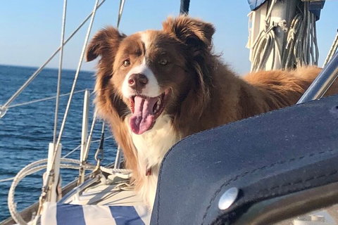 Mornington Peninsula Sightseeing Tour For 2-6 Guests. - Broome Tourism 2