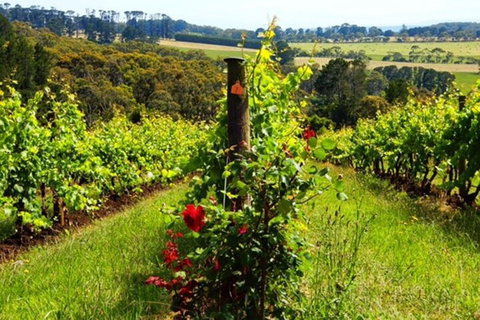 Mornington Peninsula Sightseeing Tour For 2-6 Guests. - Broome Tourism 3