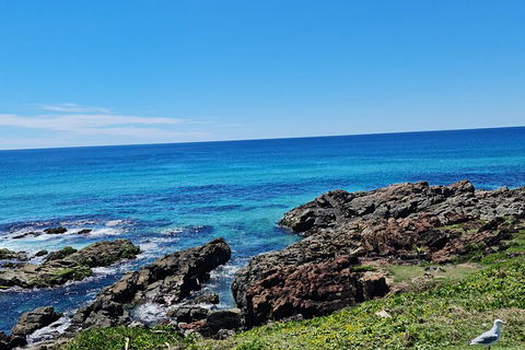Private Custom Byron Bay Day Out - Broome Tourism 4