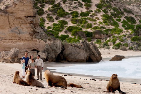 Kangaroo Island Scenic Trail Tour - Broome Tourism 5