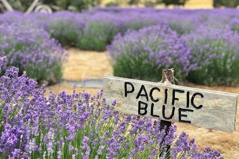 Kangaroo Island Half Day Food And Wine Trail Tour - Broome Tourism 5