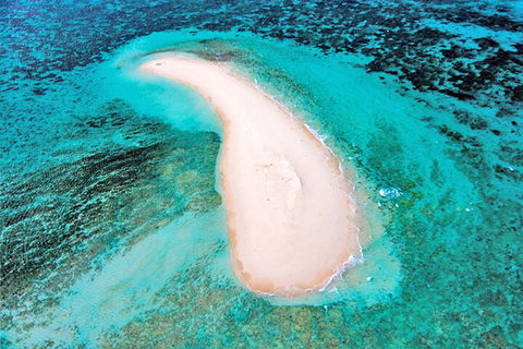 Private Coral Cay Bubbles Tour - Broome Tourism 3