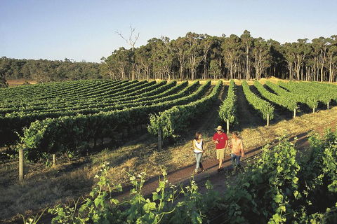 Margaret River, Caves, Wine And Cape Leeuwin Lighthouse Tour From Perth - Broome Tourism 1