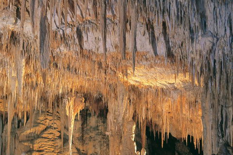 Margaret River, Caves, Wine And Cape Leeuwin Lighthouse Tour From Perth - Broome Tourism 3
