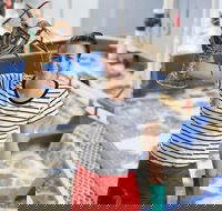 Pinnacles Desert Koalas and Sandboarding 4WD Day Tour from Perth - Broome Tourism