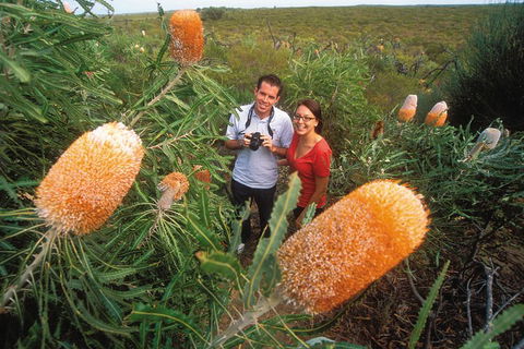 Best Of Perth Wildflower Season Day Trip - Broome Tourism 0