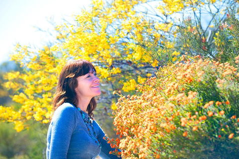 Best Of Perth Wildflower Season Day Trip - Broome Tourism 2