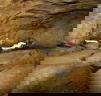 2-Day Wave Rock York Wildflowers  Aboriginal Experience - Broome Tourism