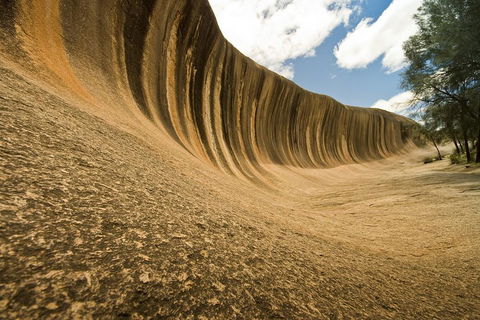 Wave Rock, York, Wildflowers, And Aboriginal Cultural Day Tour From Perth - Broome Tourism 0