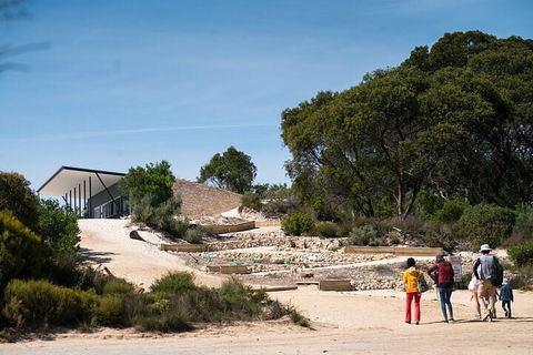 2-Hour Koala Walking Tour In Kangaroo Island - Broome Tourism 3
