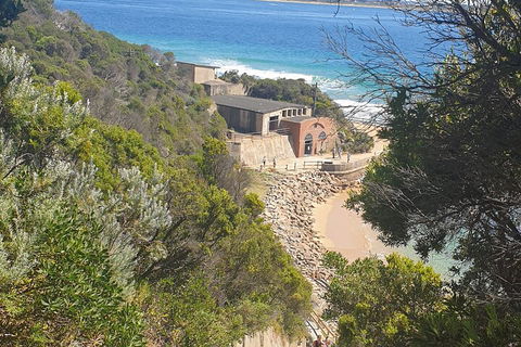 Fort Nepean And Quarantine Station Tour - Broome Tourism 4