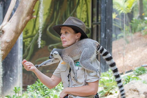 Currumbin Wildlife Sanctuary General Entry Ticket - Broome Tourism 1