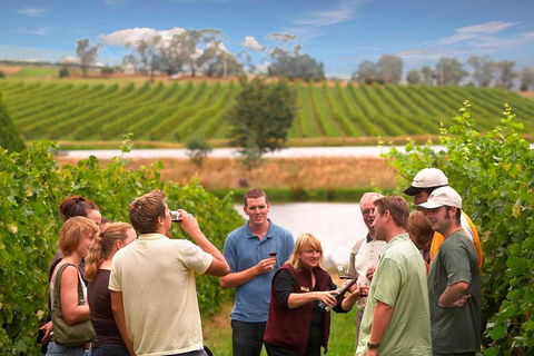 Yarra Valley Wine And Winery Tour From Melbourne - Broome Tourism 0