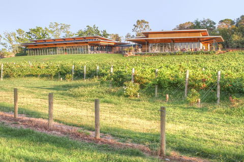 Yarra Valley Wine And Winery Tour From Melbourne - Broome Tourism 1