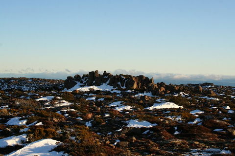 Mt. Wellington, Bonorong And Richmond Day Tour From Hobart - Broome Tourism 5