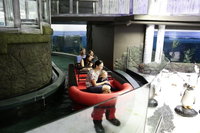 Sydney Attractions Pass SEA LIFE Aquarium Sydney Tower Eye WILD LIFE Zoo and Madame Tussauds
