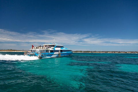 Perth To Rottnest Island Roundtrip Ferry Ticket - Broome Tourism 4