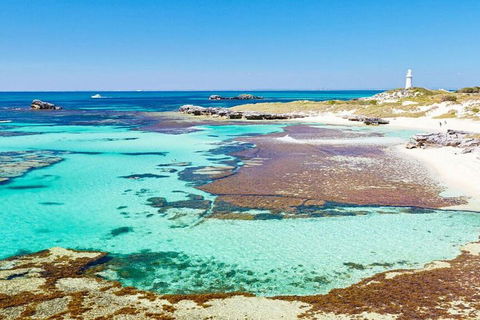 Rottnest Island Bayseeker Day Trip From Perth - Broome Tourism 4