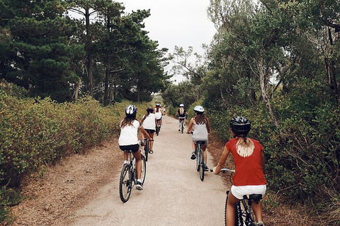 Self-Guided Point Nepean National Park Bike Hire - Broome Tourism 3