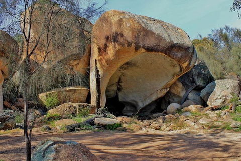 Wave Rock & Rottnest Island - Air & Ground Tour - Broome Tourism 4