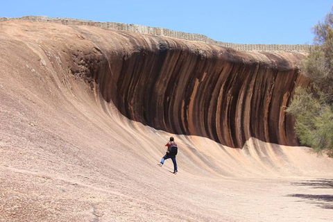 Wave Rock Half Day Air & Ground Tour - Broome Tourism 3