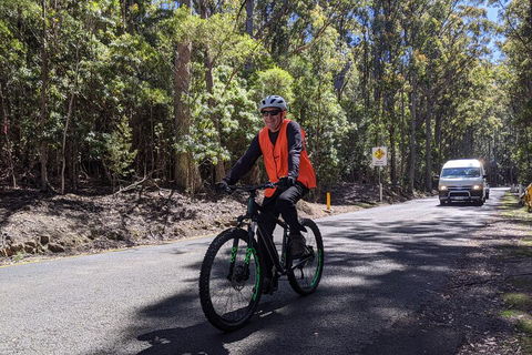 Mount Wellington Descent Cycling Tour Departs Hobart - Broome Tourism 3
